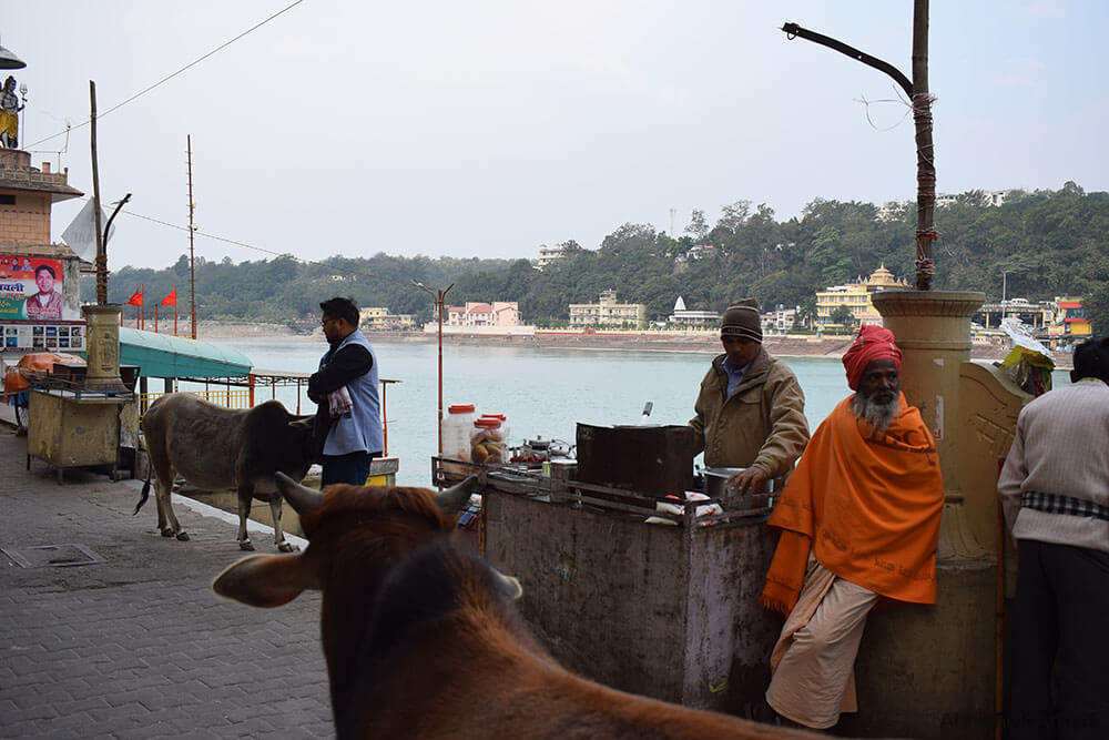 Holywater by Ganga Kinare, Rishikesh - Trekking and Nature Trails6