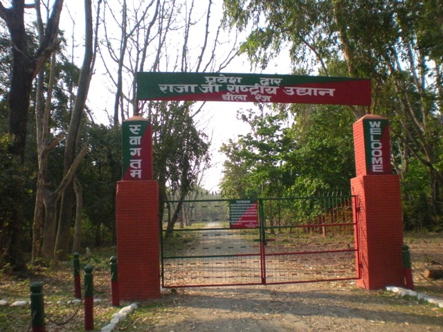 Rajaji National Park in Rishikesh