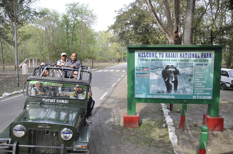 Rajaji National Park Wildlife Safari in Rishikesh3